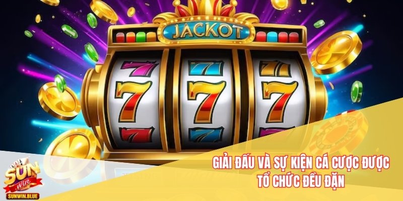 Giải đấu và sự kiện cá cược được tổ chức đều đặn