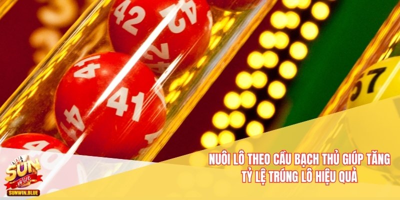 Nuôi lô theo cầu bạch thủ giúp tăng tỷ lệ trúng lô hiệu quả