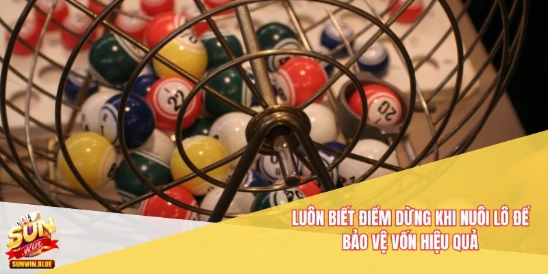 Luôn biết điểm dừng khi nuôi lô để bảo vệ vốn hiệu quả